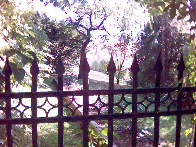 Telefonat mit der Schwester