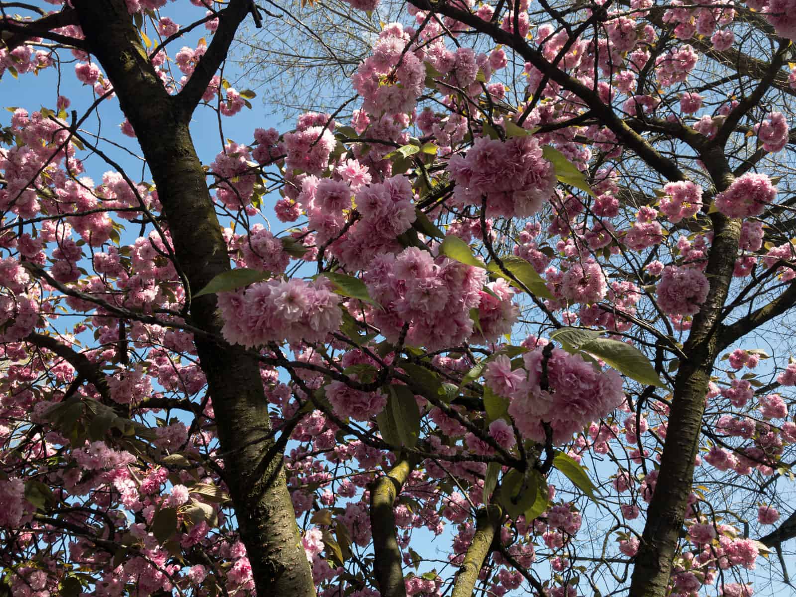 Trost für Verlierer