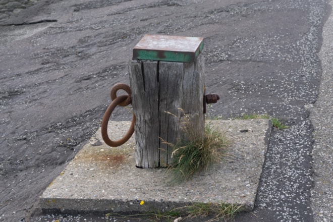 Kopf eines Androiden