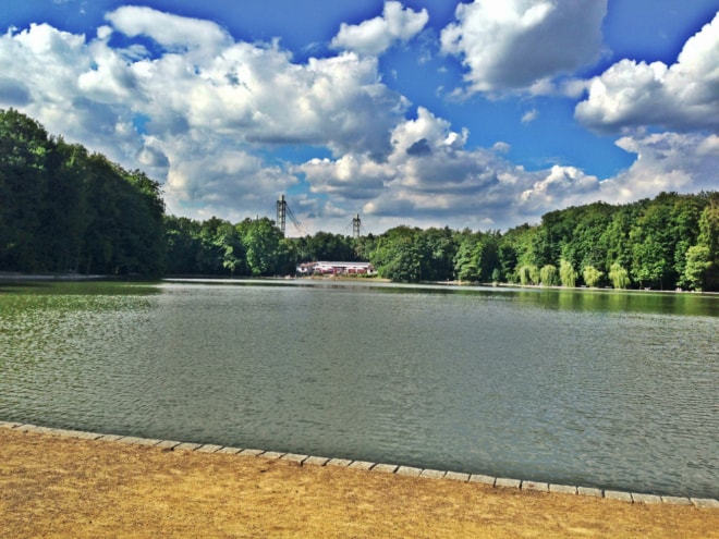 Ganz Köln hat Durst