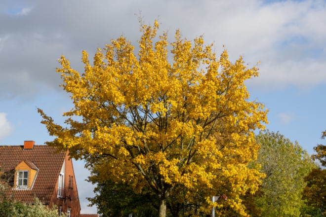 Gezockt im Oktober