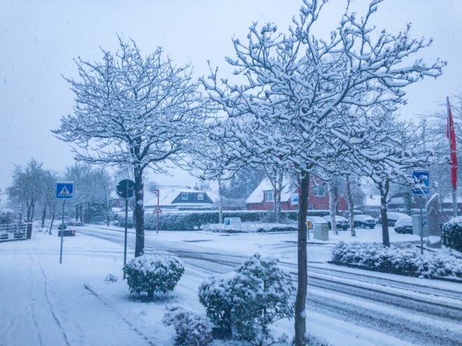 Keine Landjäger im Schnee