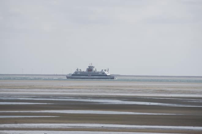 Kreuzfahrt oder Fähre?
