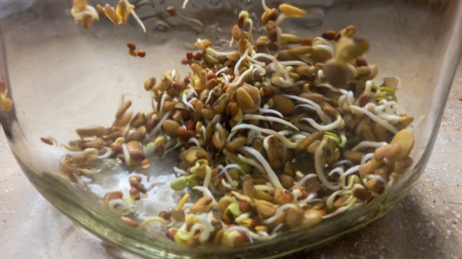 Don't call me Microgreens