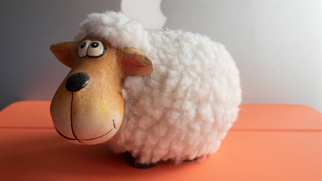 Schaf an Ostern vorbei