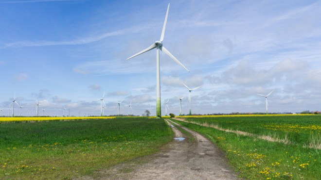 Raps statt Greetsiel