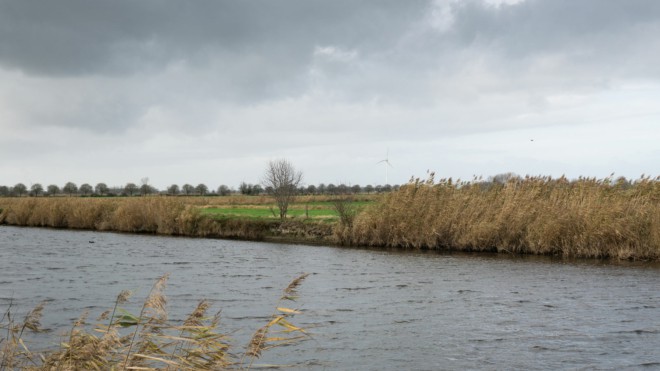 Natur statt Flächenverbrauch