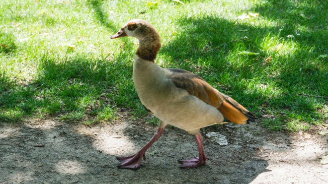 Zukunftsperspektiven als Hauptgericht