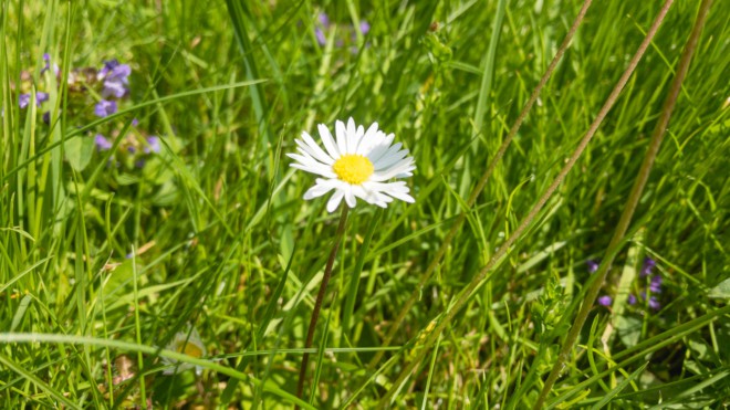 Endlich Somerferien