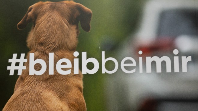 Tiere werden ausgesetzt