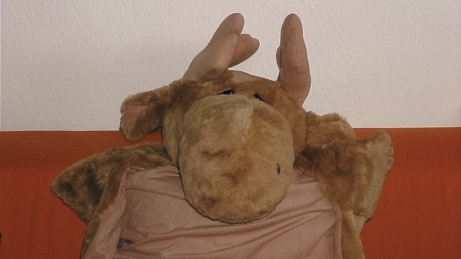 Definitiv kein Seepferdchen