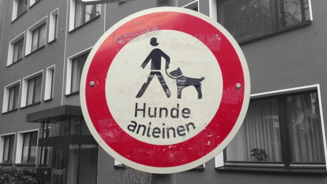 Bei Orkan anleinen