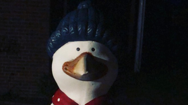 Vogel bei Twitter?