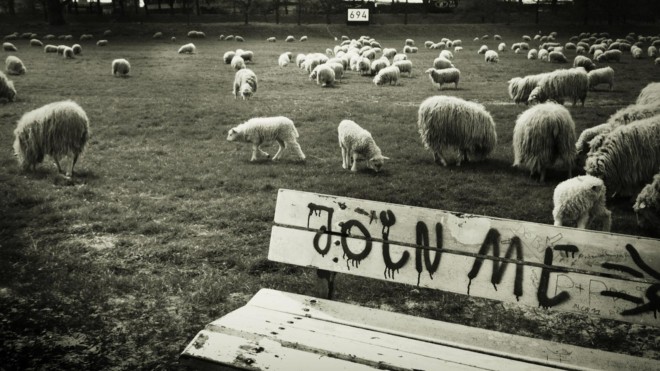 Elektrischer Osterhase