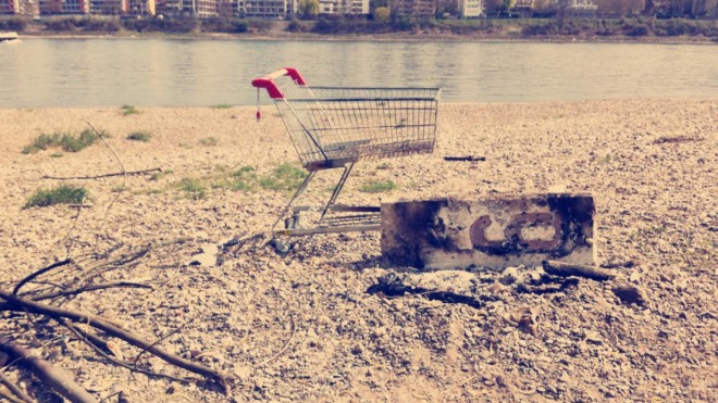 Elektrischer Osterhase