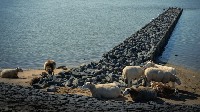 Schlechte Spartipps —” Verzicht auf Gras