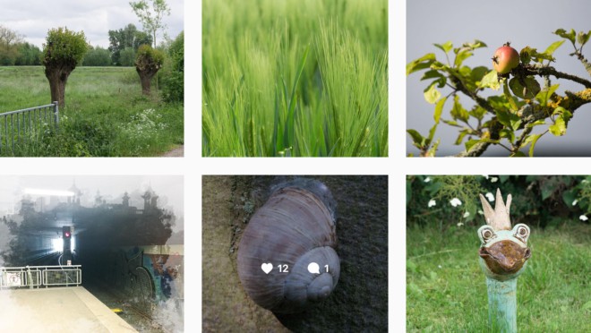 Fotos auf Instagram
