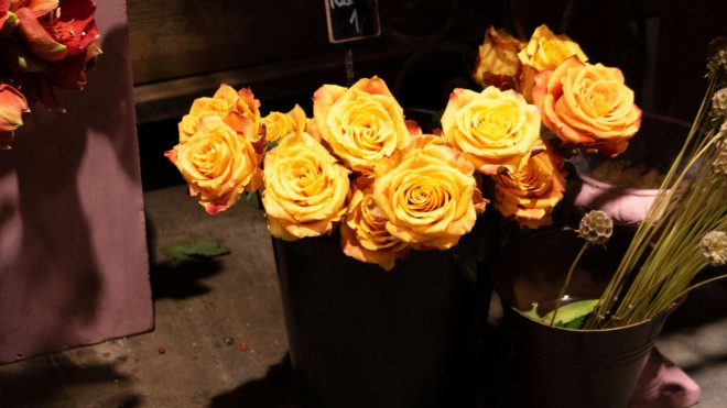 Blumen als umstrittenes Motiv