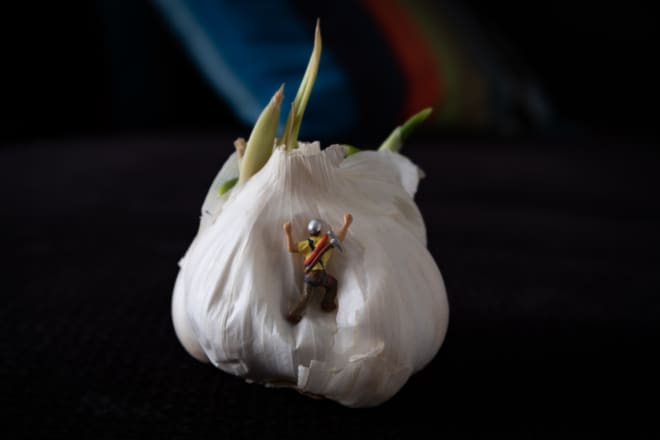 Knoblauch statt Knecht Ruprecht