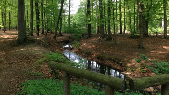 Unterwegs mit Klimaterroristen