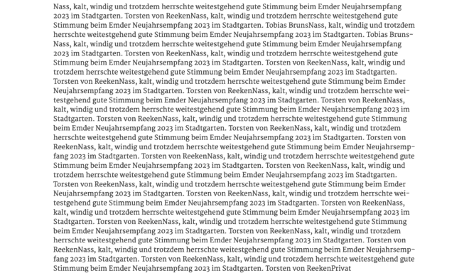 Bericht über den Neujahrsempfang ohne KI