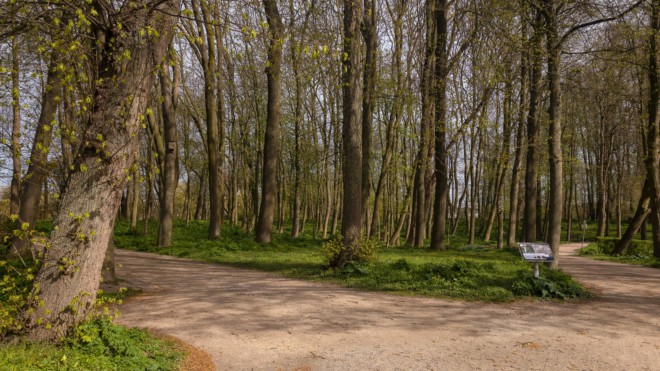 Eindruck vom Emder Wall