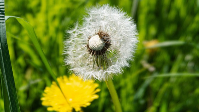 Integration nicht möglich